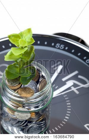 coins with plant and clock isolated on white background. savings concept concept of time and money. copy space for text.