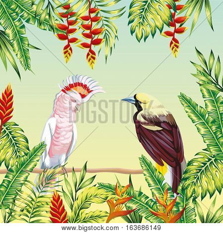 Tropical birds parrot maccaw sitting on a branch frame leaves and flowers. Vector illustration