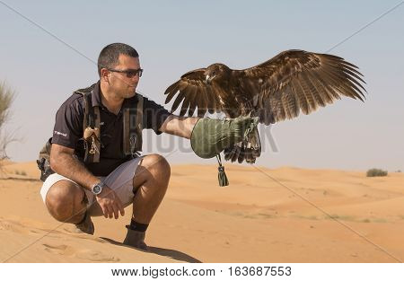 Dubai, UAE, December 3rd, 2016: Falconer with Greater Spotted Eagle (clanga Clanga) in a desert near Dubai