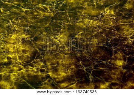 Abstract background made of genuine leather. Natural leather texture background. 2