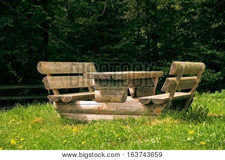 The table in the old green forest