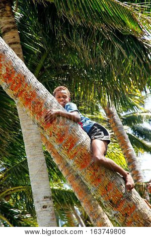 Lavena, Fiji - November 27: Unidentified Boy Climbs Palm Tree To Swing On A Rope Swing On November 2