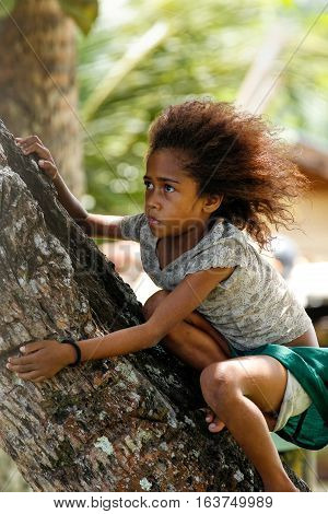 Lavena, Fiji - November 27: Unidentified Girls Sits On A Palm Tree On November 27, 2013 In Lavena Vi
