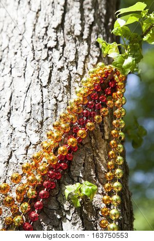 Red gold and orange Mardi Gras beads hanging from a tree