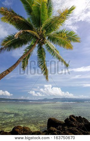 Coastline in Lavena village on Taveuni Island Fiji. Taveuni is the third largest island in Fiji.