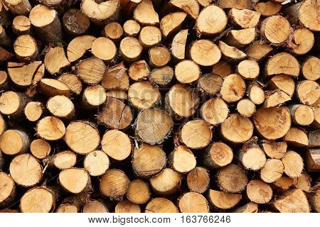 big pile of firewood background pattern wood