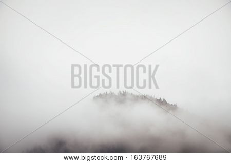 Tops of trees on hill sticking out of fog. Racha-Lechxumi region Georgia. Minimalism in nature concept