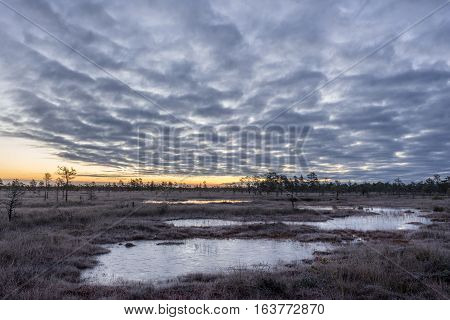 Sunrise in the bog. Icy cold marsh. Frosty ground. Swamp lake and nature. Freeze temperatures in moor. Blue fen. Muskeg natural environment. Sediment trees and frozen water.