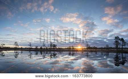 Sunrise in the bog. Icy cold marsh. Frosty ground. Swamp lake and nature. Freeze temperatures in moor. Muskeg natural environment. Beautiful trees sky and cloud reflection in water in the fen.