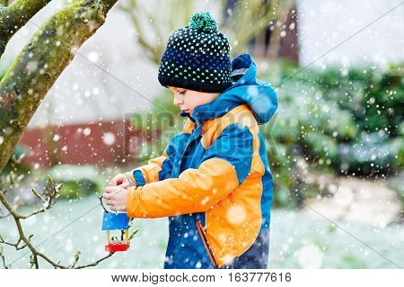 Little kid boy feeding birds in winter. Cute happy preschool child hanging colorful selfmade bird house on tree on frosty cold day. Preschooler in colorful wam clothes. Nature, empathy with animals.