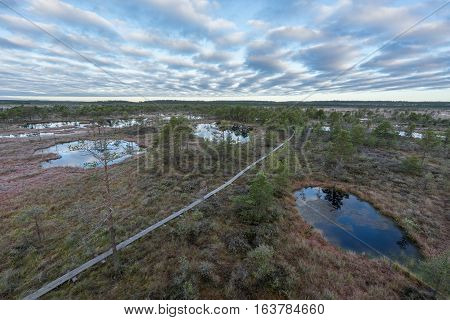 Sunrise in the bog. Icy cold marsh. Frosty ground. Swamp lake and nature. Freeze temperatures in moor. Muskeg natural environment. Beautiful trees sky and cloud reflection in water in the fen.