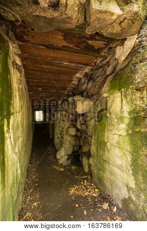 Wolf's Lair Adolf Hitler's Bunker in Poland. First Eastern Front military headquarters in World War II. Complex was blown up and abandoned on 1945. Autumn chaparral grown ruins trees leaves.