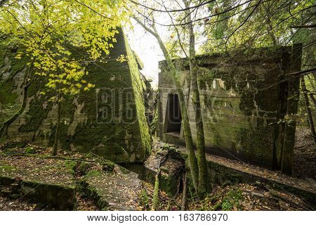 Wolf's Lair Adolf Hitler's Bunker in Poland. First Eastern Front military headquarters in World War II. Complex was blown up and abandoned on 1945. Autumn chaparral grown ruins trees leaves.