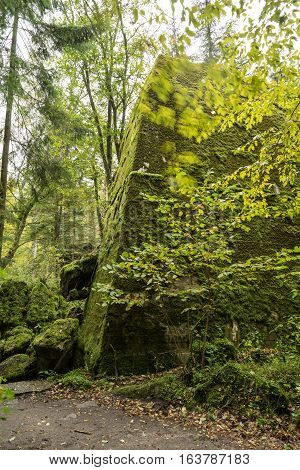 Wolf's Lair Adolf Hitler's Bunker in Poland. First Eastern Front military headquarters in World War II. Complex was blown up and abandoned on 1945. Autumn chaparral grown ruins trees leaves.