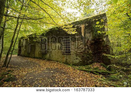 Wolf's Lair Adolf Hitler's Bunker in Poland. First Eastern Front military headquarters in World War II. Complex was blown up and abandoned on 1945. Autumn chaparral grown ruins trees leaves.