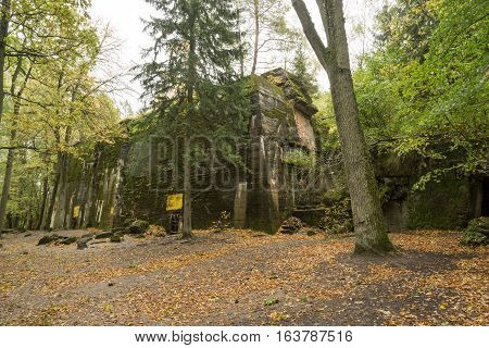 Wolf's Lair Adolf Hitler's Bunker in Poland. First Eastern Front military headquarters in World War II. Complex was blown up and abandoned on 1945. Autumn chaparral grown ruins trees leaves.