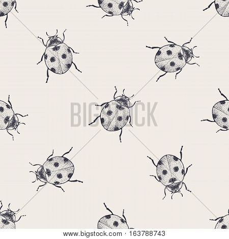 Ladybugs seamless pattern. Vintage hand drawn insects.