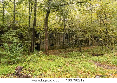 Wolf's Lair Adolf Hitler's Bunker in Poland. First Eastern Front military headquarters in World War II. Complex was blown up and abandoned on 1945. Autumn chaparral grown ruins trees leaves.