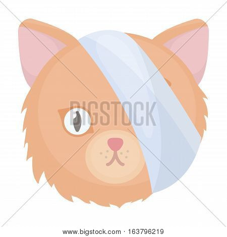 Sick cat with bandage on a head icon in cartoon design isolated on white background. Veterinary clinic symbol stock vector illustration.