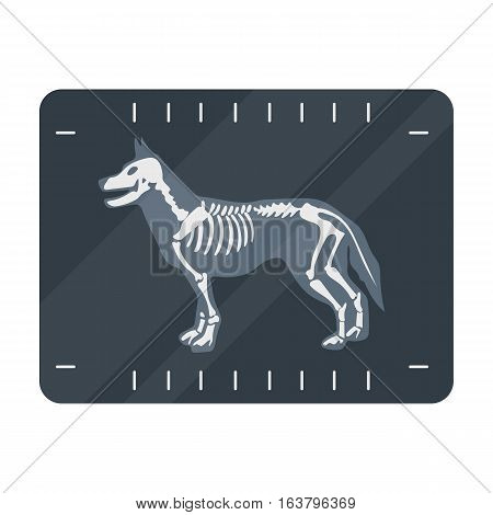 Dog x-ray icon in cartoon design isolated on white background. Veterinary clinic symbol stock vector illustration.