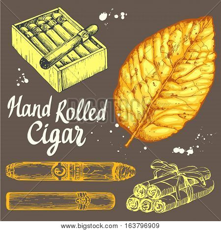 Vector illustration with classical smokeking set. Bunch of tobacco box, hand rolled cigars, leaf in sketch style. Best cuban quality.