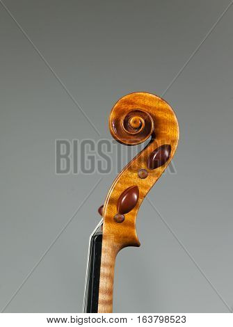 Stringed Musical Instrument a violin on a white - grey background.