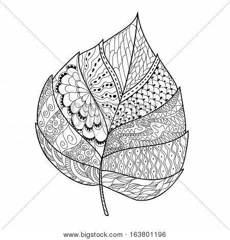 Leaf doodle. Vector illustration. Hand drawn artwork. Black white. Coloring book page for adults.