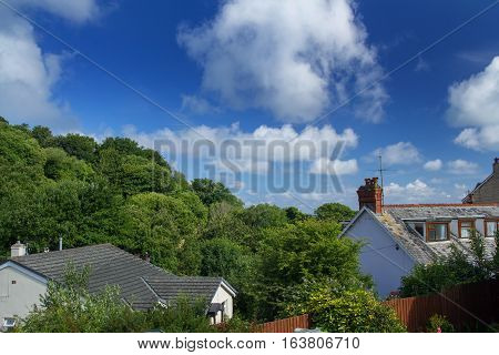 Roofs of houses surrounded by green trees. Combe Martin. North Devon. UK