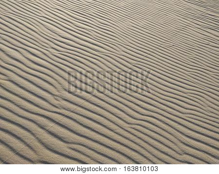 Remote Arid Sand Hill with Wind Swept Ripples