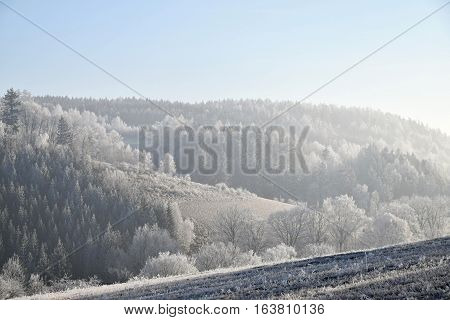 Frostbitten landscape blue sky. Landscape fog frost.