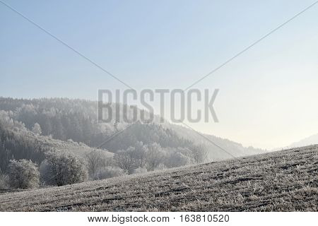 Frostbitten landscape blue sky. Landscape frost fog.