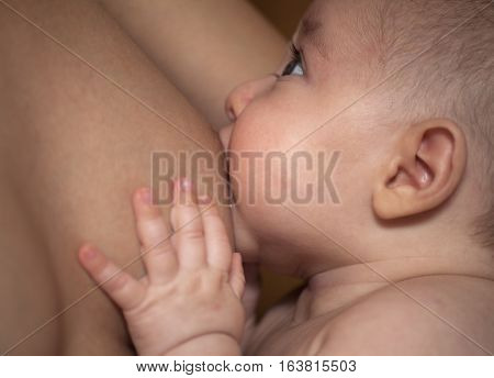 Mother Breastfeeding Her Baby