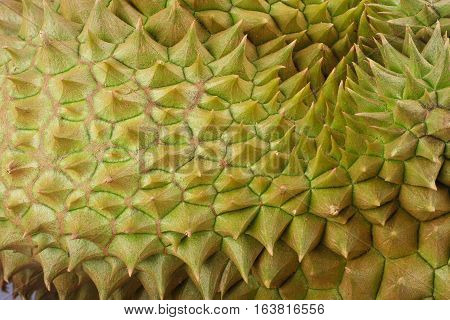 durian  mon thong is king of tropical  fruits  on white background healthy durian fruit food isolated