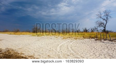 Sand and grass steppe on a background of a stormy sky. Coast Kinburn Spit. Ukraine