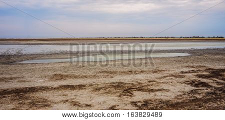 Seaweed and clay at the bottom of the dry lake. Kinburn Spit. Ukraine