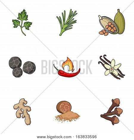 Herb and spices set icons in cartoon style. Big collection of herb and spices vector symbol stock