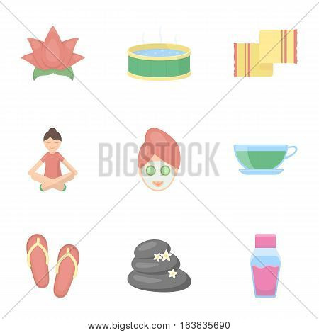 Spa set icons in cartoon style. Big collection of spa vector symbol stock