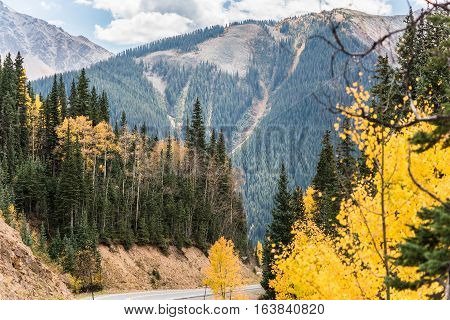 Highway road on mountain with golden aspen trees in Colorado