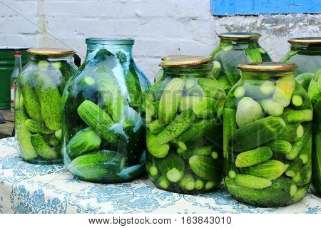 ripe cucumbers in the glass jars are prepared for preservation
