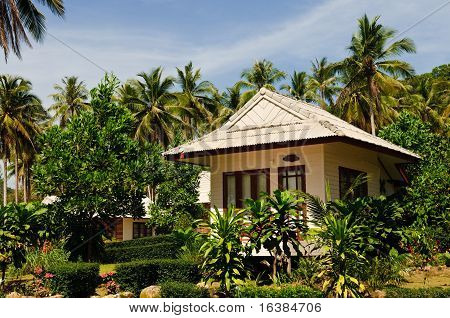 Tropikal Bungalov