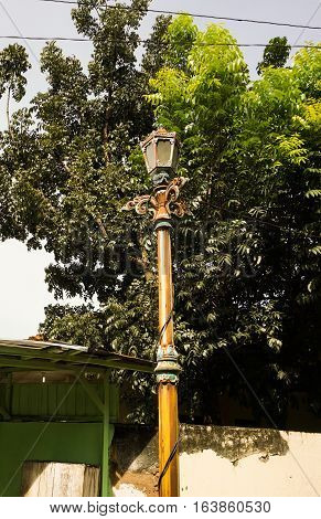 a street lights standing near a big tree photo taken in Semarang Indonesia java