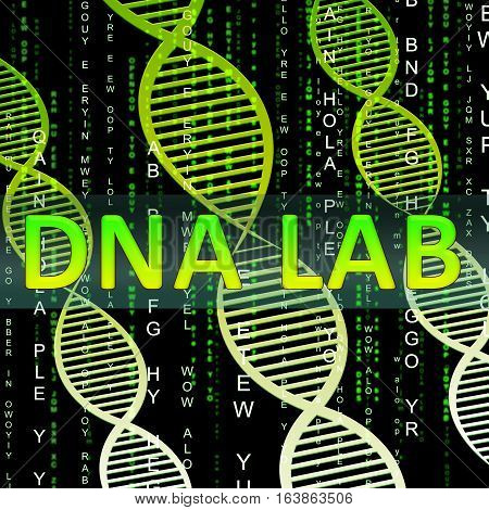 Dna Lab Shows Biotechnology Labratories 3D Illustration