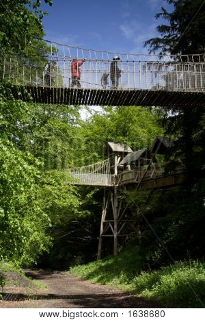 Alnwick Garden
