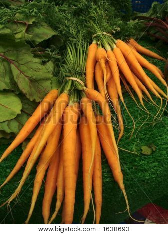 Carrot1