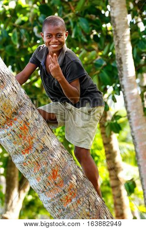 Lavena, Fiji - November 27: Unidentified Boy Climbs Palm Tree To Swing On A Rope Swing On November 2