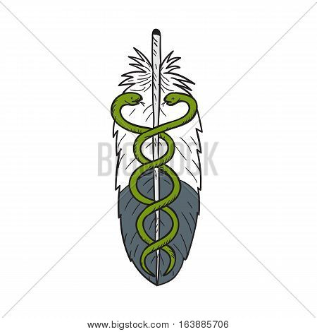 Drawing sketch style illustration of a medical snake intertwined in eagle feather viewed from front set on isolated white background.