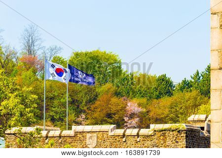 Yonsei University Korean Flag Trees Background