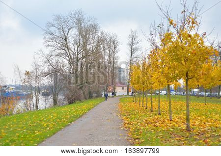 View of park and walkway at golden autumn.