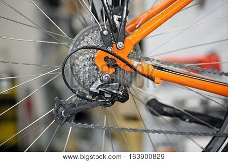 Chain Rings And Rear Derailleur Of A Bike
