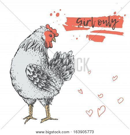 Design with hen for hen party. Hand drawn female rooster on white background with love. Cute heart. Picture vector for your design. There are place for your text on red ribbon. Handmade illustration